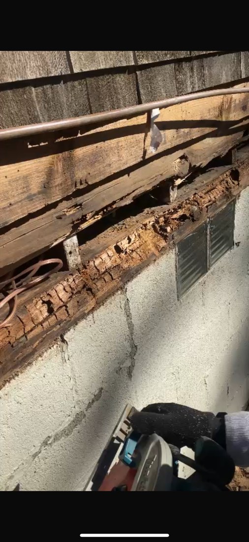 Rotted sill plate on a block foundation, shingle siding cut back, crew member cutting with a circular saw. Rot runs th